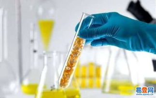 黃島進(jìn)出口代理 助力企業(yè)拓展國際市場的關(guān)鍵伙伴